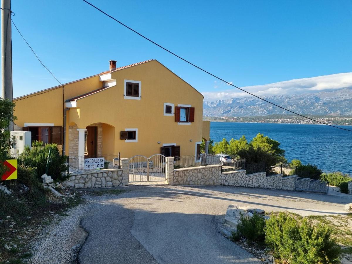 Apartments Mikecin Novigrad  Eksteriør billede